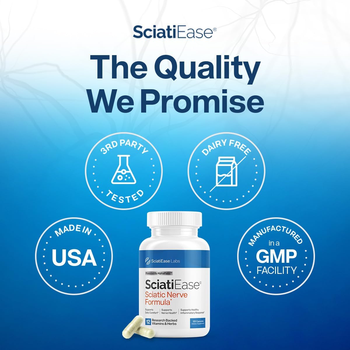 Sciatic Nerve Health Support Supplement - Nerve Support Formula with AlphaPalm, Pea, Vitamin B Complex, Alpha Lipoic Acid 300mg