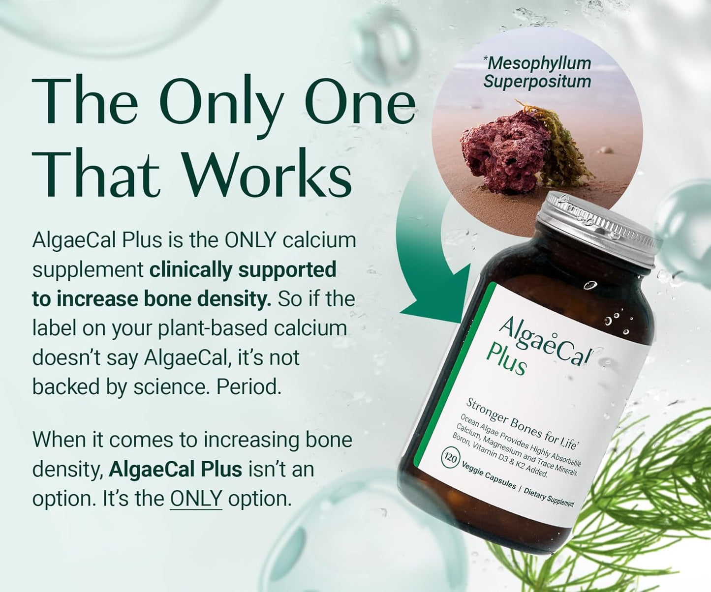 ALGAECAL Plus – Organic Red Algae Calcium Supplement, Vitamin K2 MK7 (100mcg), Vitamin D3 (1600 IU), Magnesium (350mg), Trace Minerals, Plant-Based Bone Strength, Easy to Swallow, 120 Veggie Caps