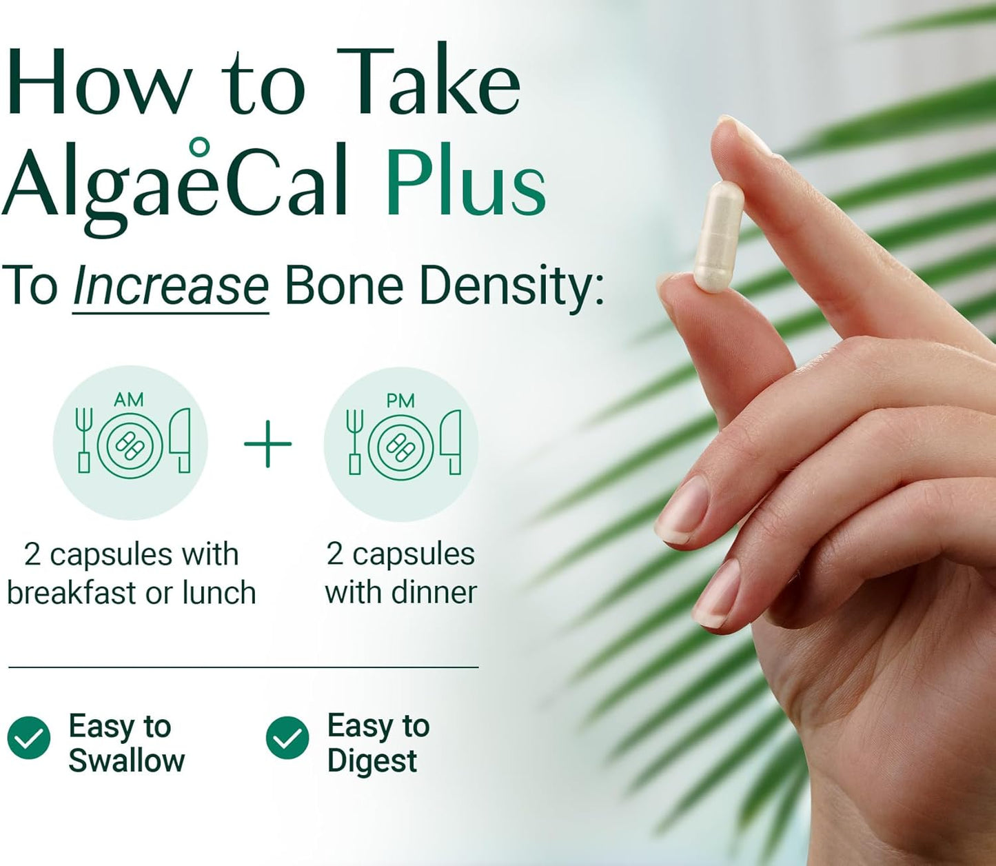 ALGAECAL Plus – Organic Red Algae Calcium Supplement, Vitamin K2 MK7 (100mcg), Vitamin D3 (1600 IU), Magnesium (350mg), Trace Minerals, Plant-Based Bone Strength, Easy to Swallow, 120 Veggie Caps