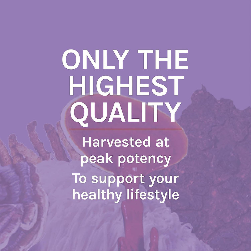 Host Defense Mushrooms Lion's Mane - Supplement Capsules for Brain Health Support - Mushroom Support for Focus & Memory Function - Immune & Nervous System Supplement - 60 Capsules (30 Servings)*