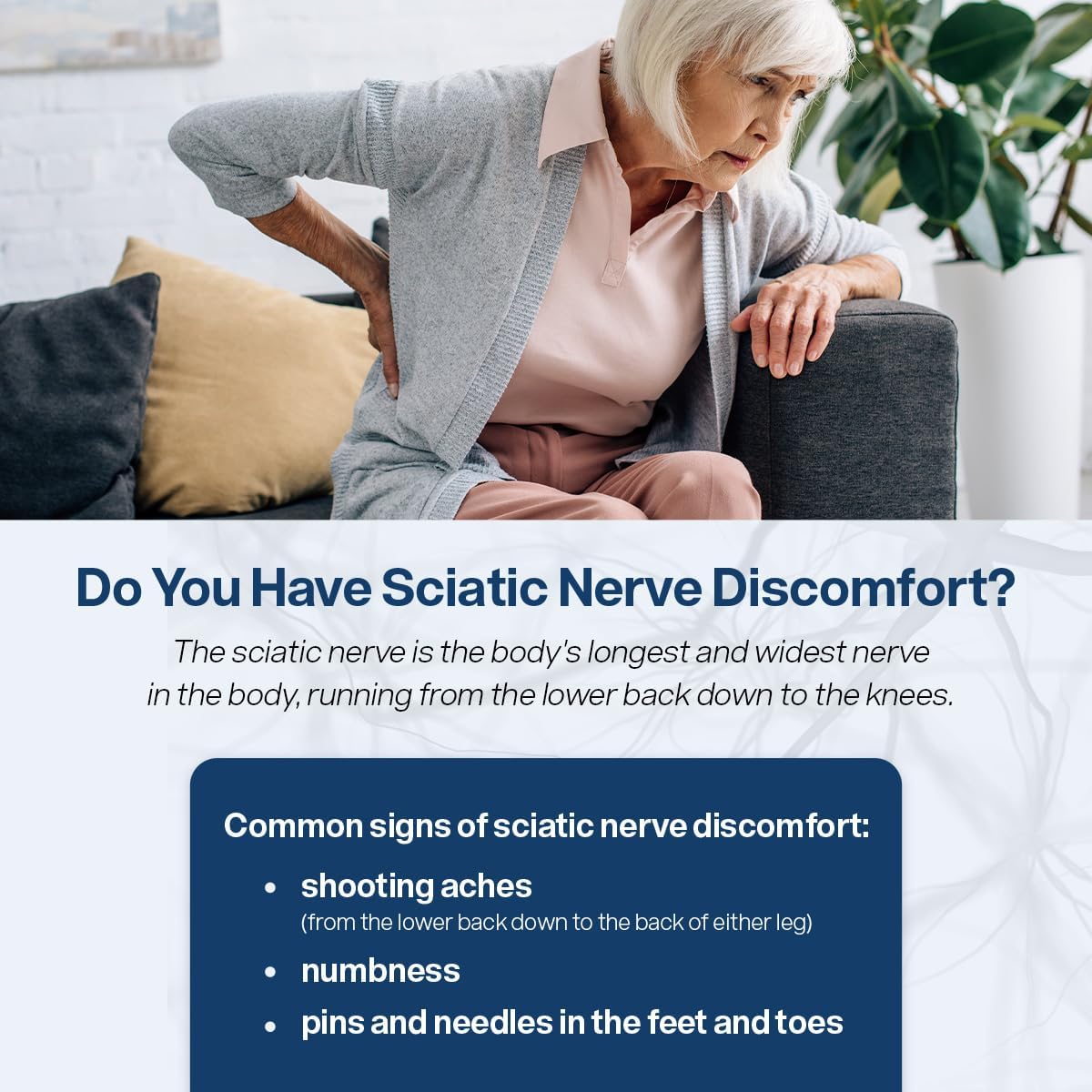 Sciatic Nerve Health Support Supplement - Nerve Support Formula with AlphaPalm, Pea, Vitamin B Complex, Alpha Lipoic Acid 300mg