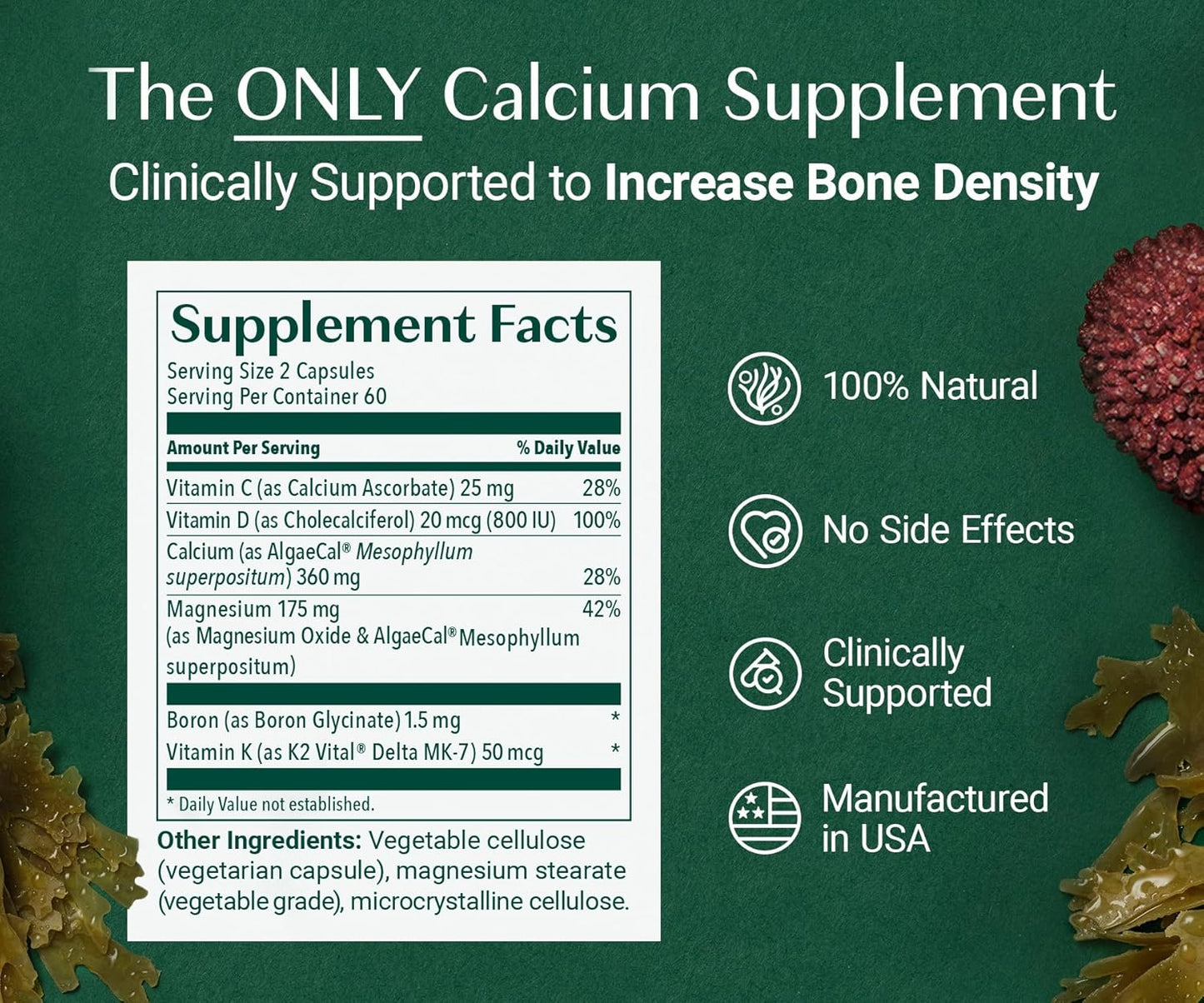 ALGAECAL Plus – Organic Red Algae Calcium Supplement, Vitamin K2 MK7 (100mcg), Vitamin D3 (1600 IU), Magnesium (350mg), Trace Minerals, Plant-Based Bone Strength, Easy to Swallow, 120 Veggie Caps