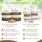 Real Mushrooms Lions Mane Supplement Capsules - Mushroom Supplement for Overall Wellness with Verified Beta Glucans – Non-GMO, Vegan Mushroom Supplements in 120 Capsules